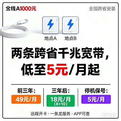正规靠谱！5元两条千兆宽带，APP可查+远程服务超省心
